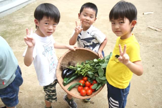 男の子３人が野菜がたくさん入ったカゴを持ってカメラに向かってピースをしている写真