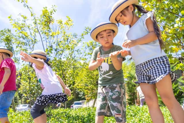 男の子が女の子に手のひらに乗せた何かを見せている写真