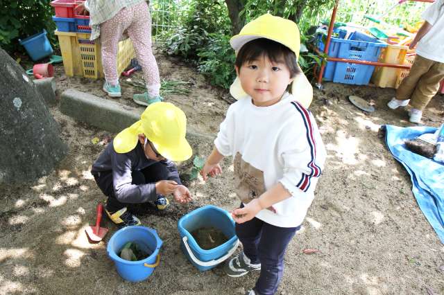 2人の男の子が土や葉っぱの入ったバケツをから何かを探している写真