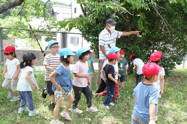 園児達が芝生の上を先生が指を刺している方向に歩いている写真
